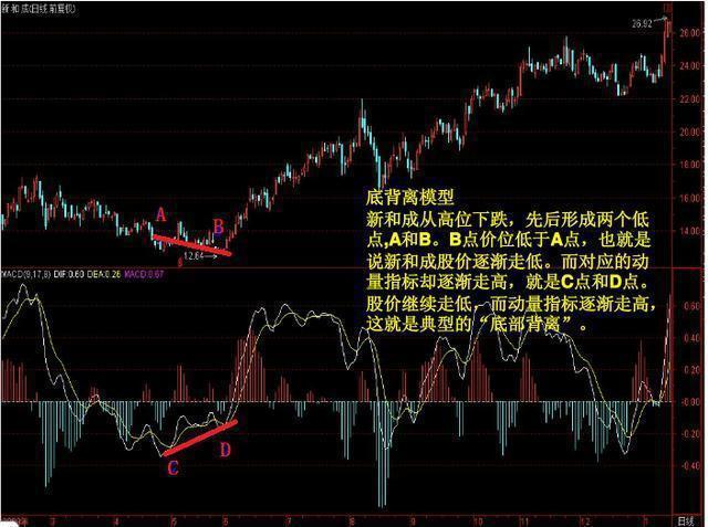 新和成股價(jià)最新動(dòng)態(tài)，行業(yè)趨勢(shì)與公司前景展望分析
