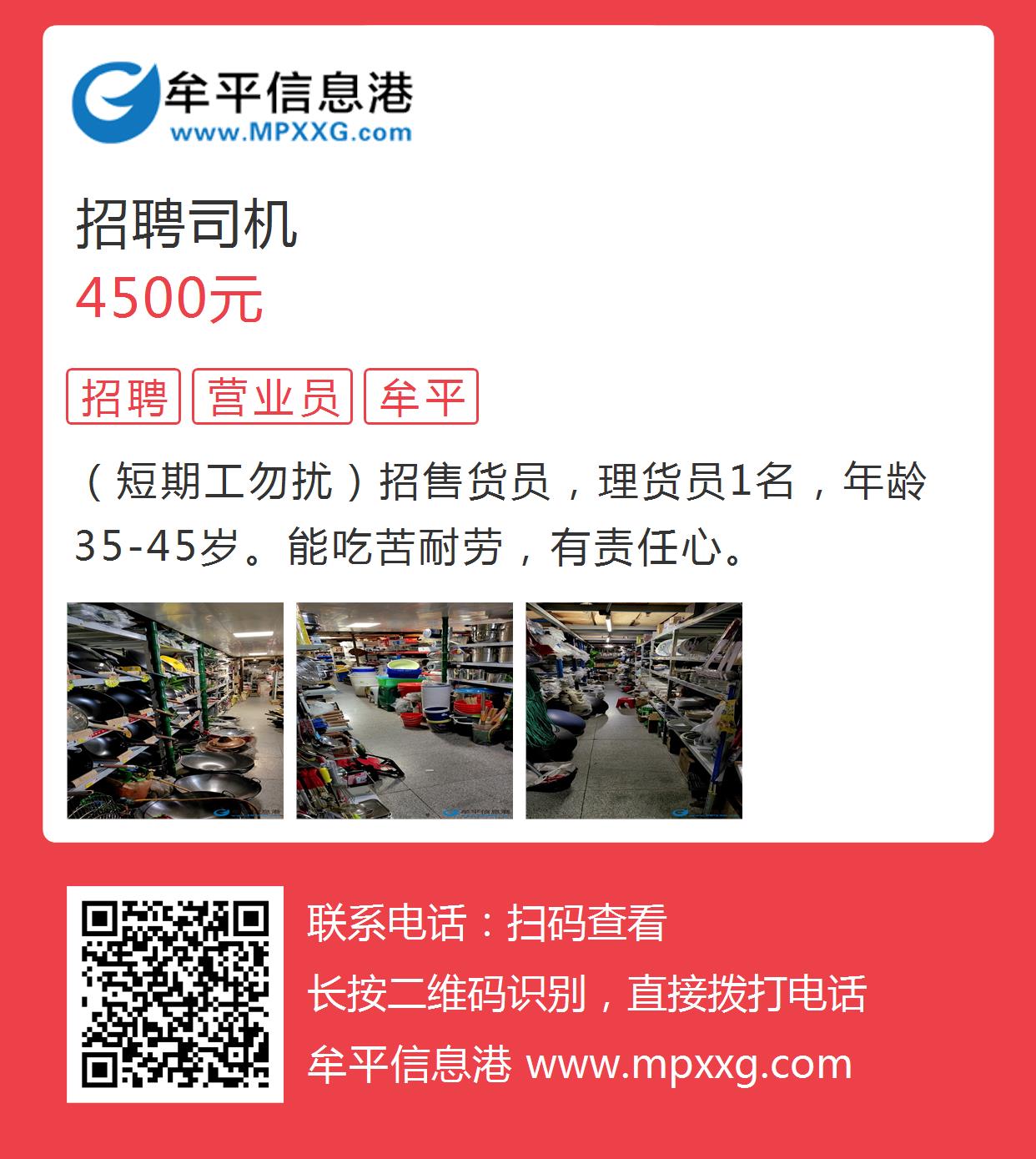 文登信息港最新職位招聘揭秘，小巷深處的職場寶藏