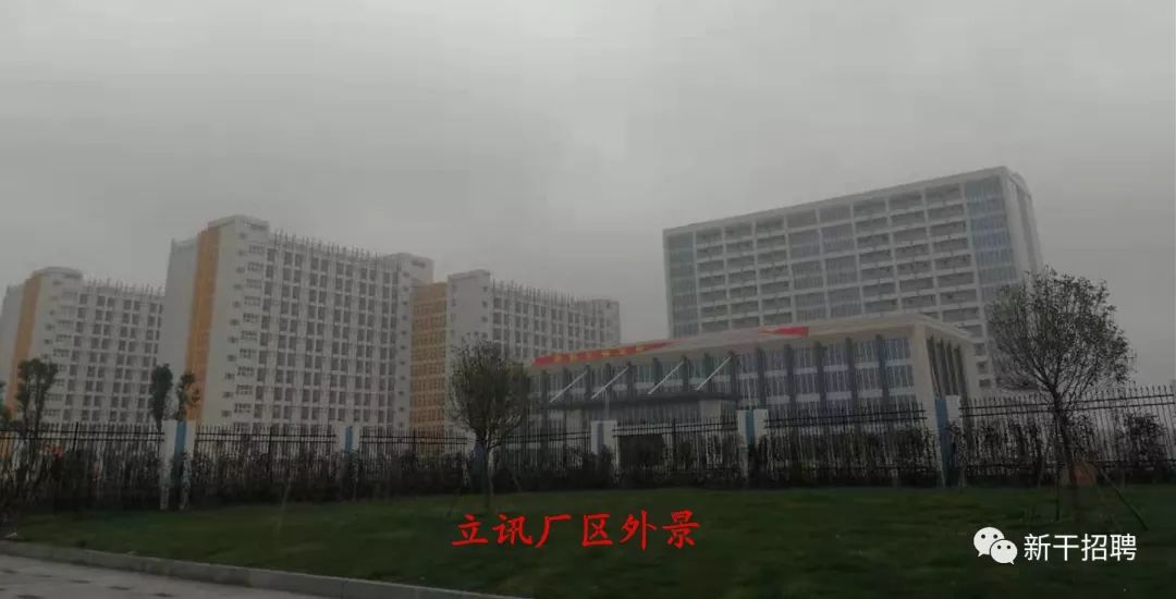 保健品 第106頁