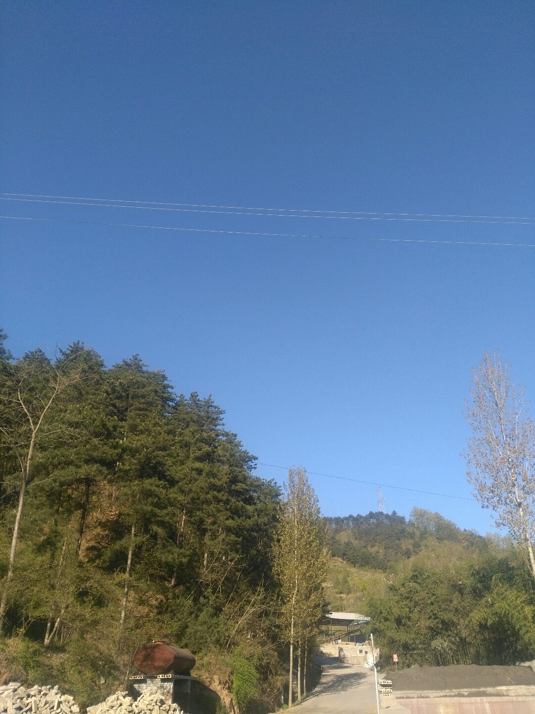 保健品 第63頁