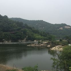 保健品 第41頁