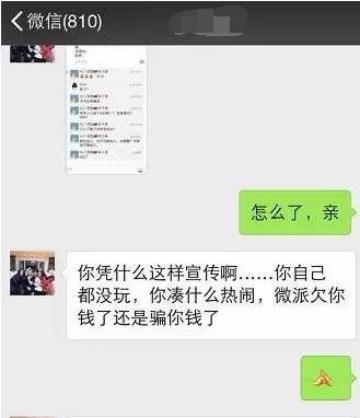 微派農場最新動態，自然探秘之旅，尋找內心的寧靜與平和