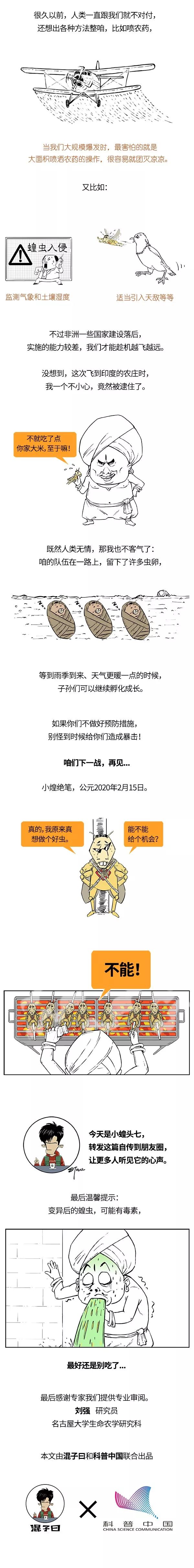 蝗蟲最新報告，蟲災中的希望與溫馨故事
