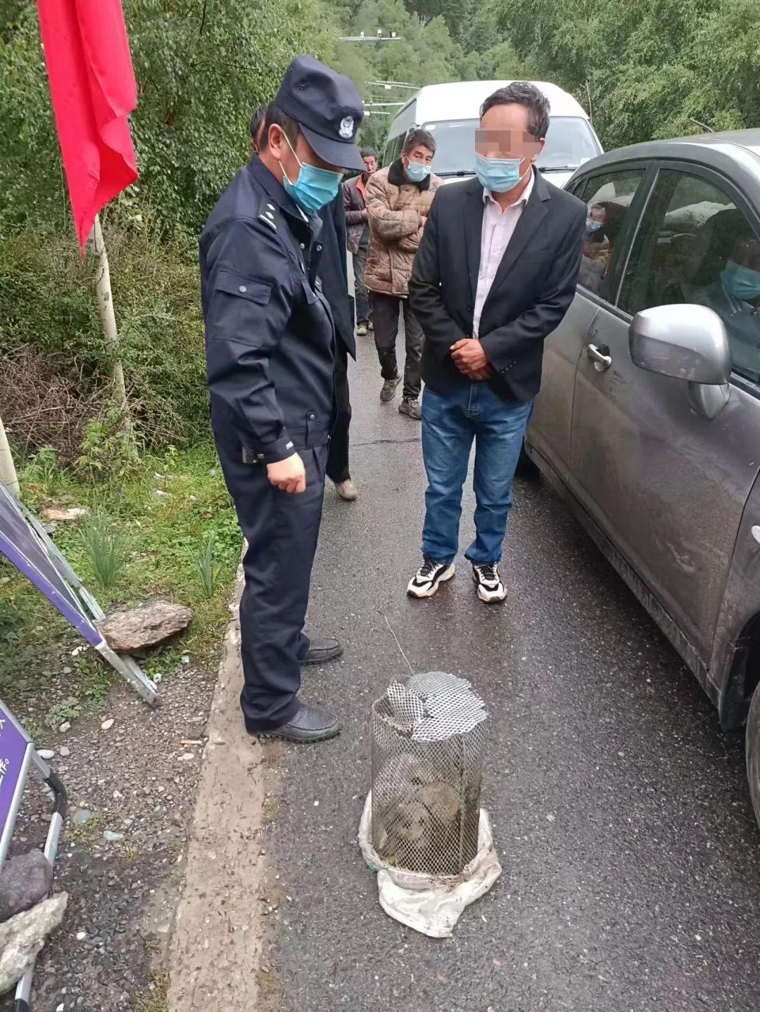 最新旱獺病毒揭秘，小巷深處的神秘寶藏探尋之路